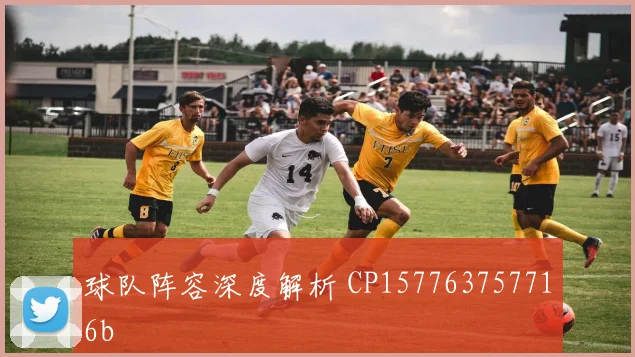 球队阵容深度解析 CP157763757716b