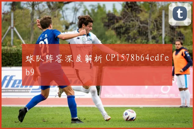 球队阵容深度解析 CP1578b64cdfeb9
